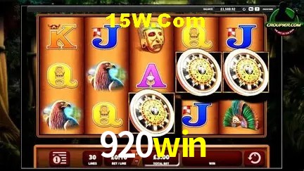 Sistemas de Segurança 920win